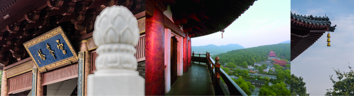 1781770464760710.png 图片1.png